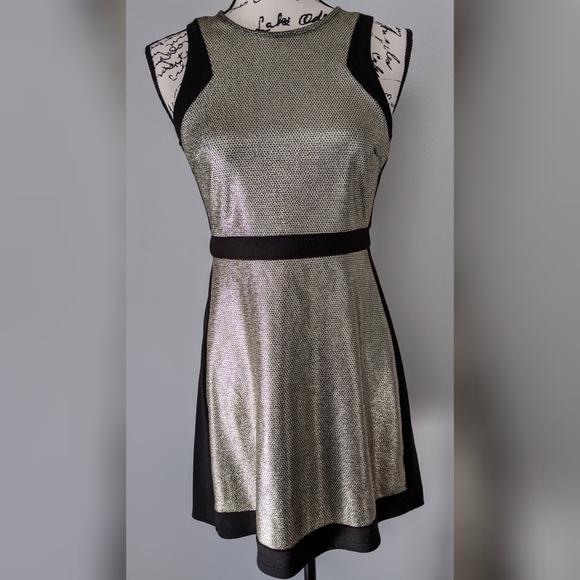 Soprano Dresses & Skirts - Sliver Dress